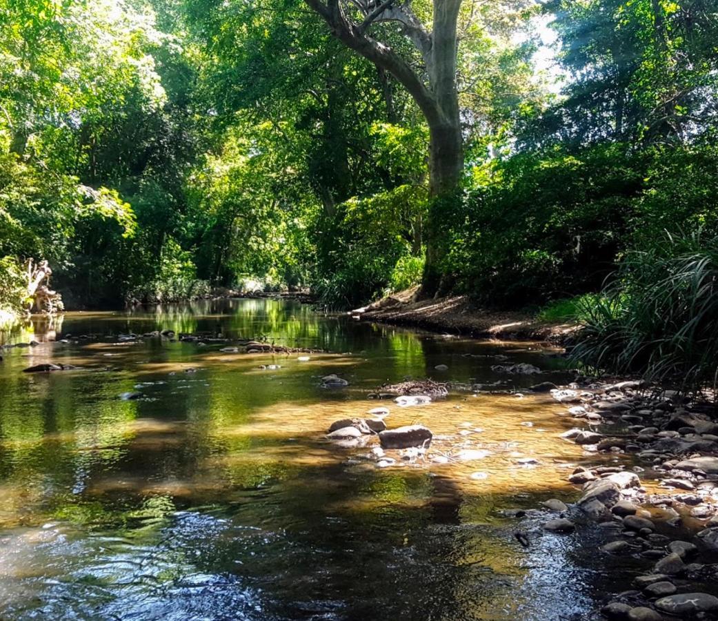 Bindu Homestay ويلاوايا المظهر الخارجي الصورة