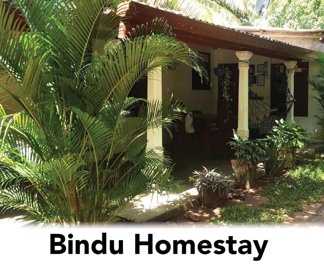 Bindu Homestay ويلاوايا المظهر الخارجي الصورة